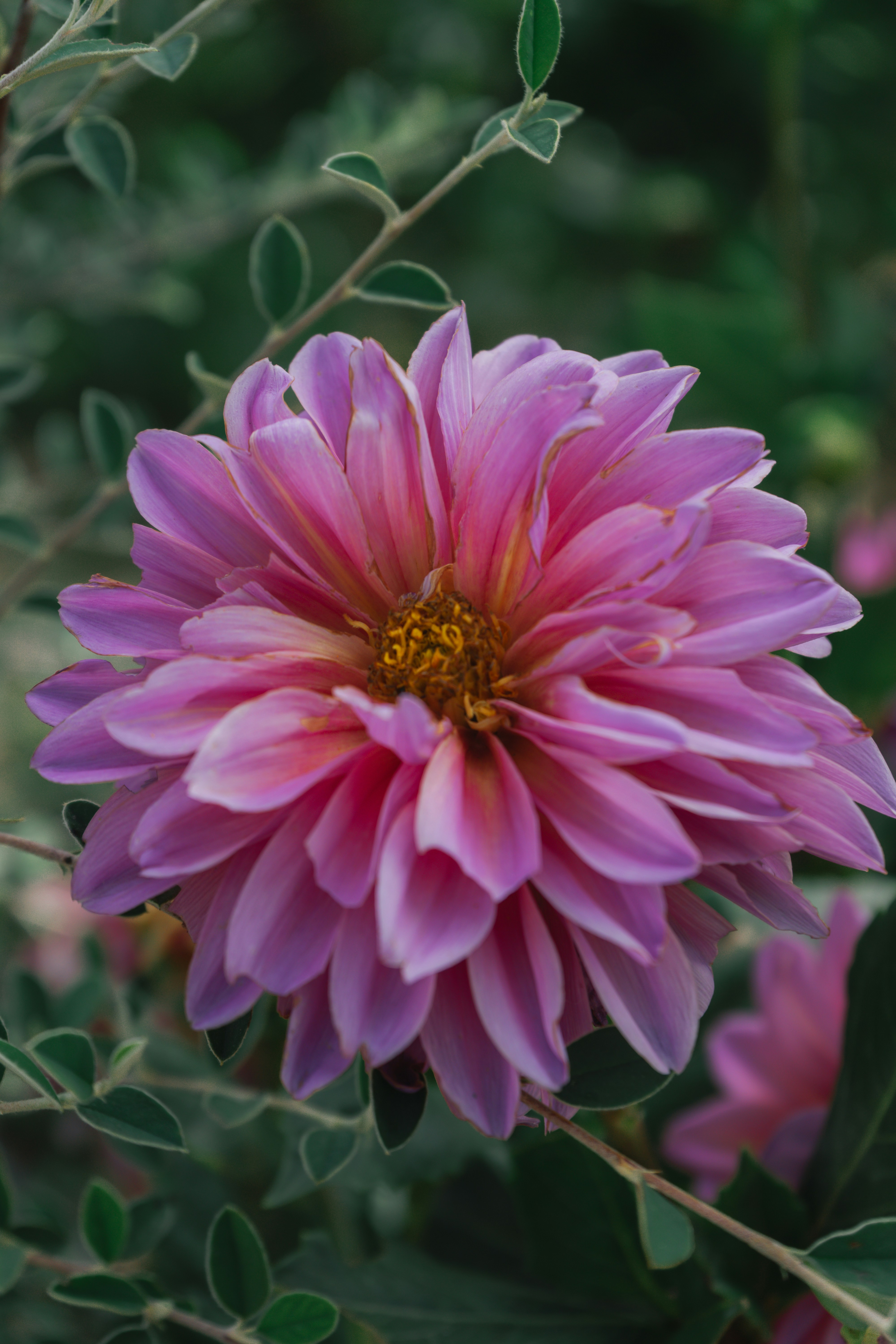 Photo by mariasolponce