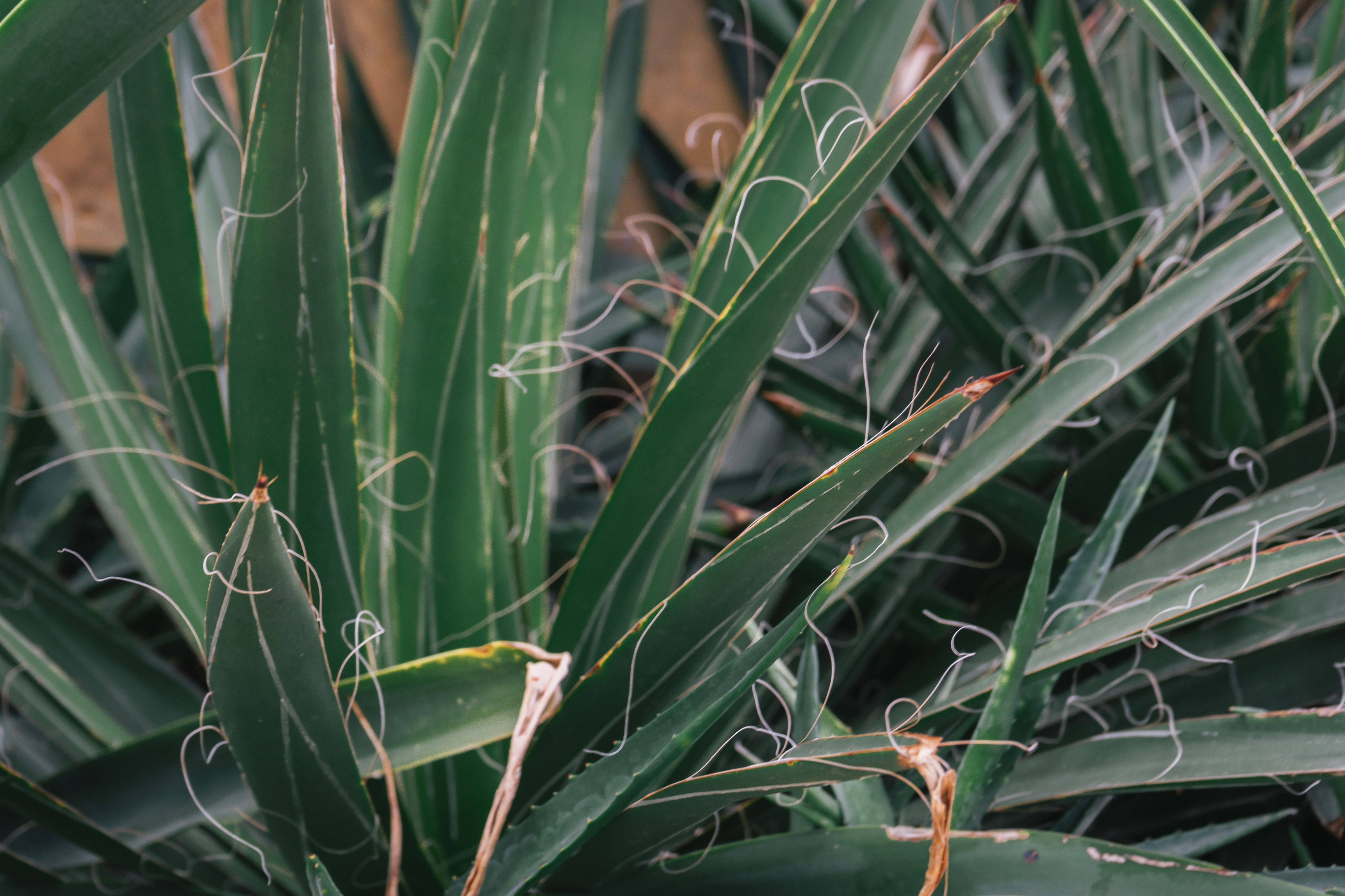 Photo by mariasolponce