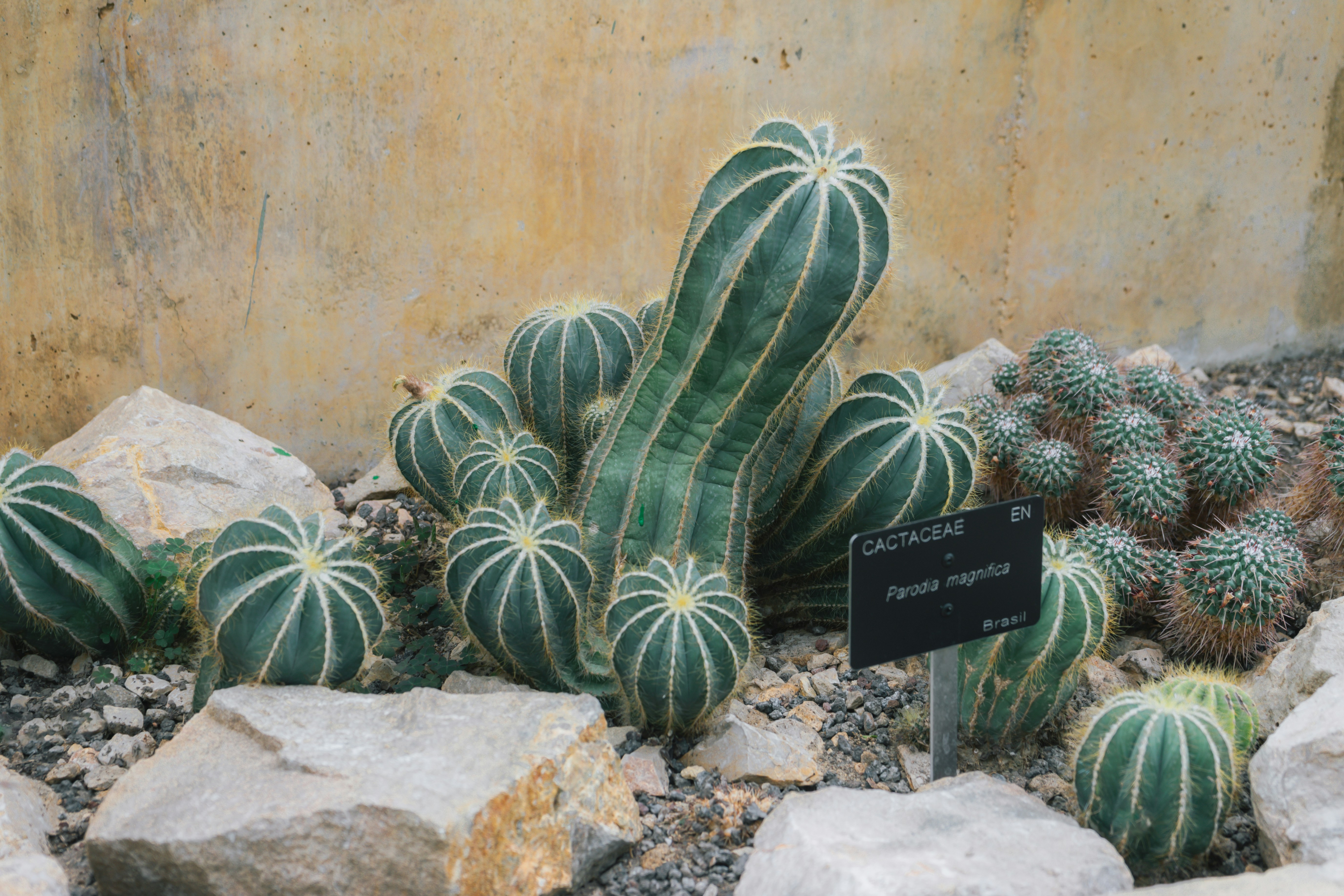 Photo by mariasolponce