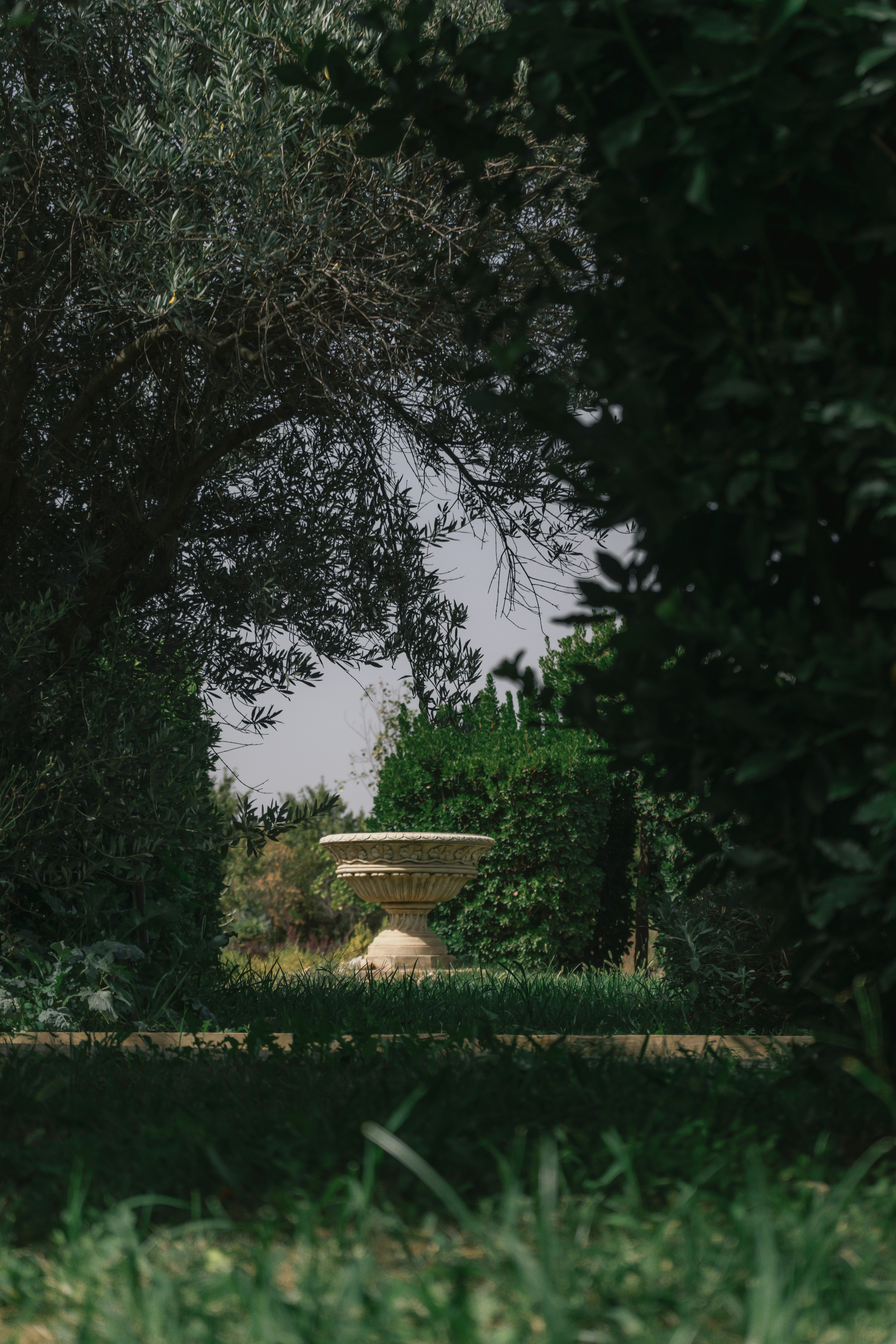 Photo by mariasolponce