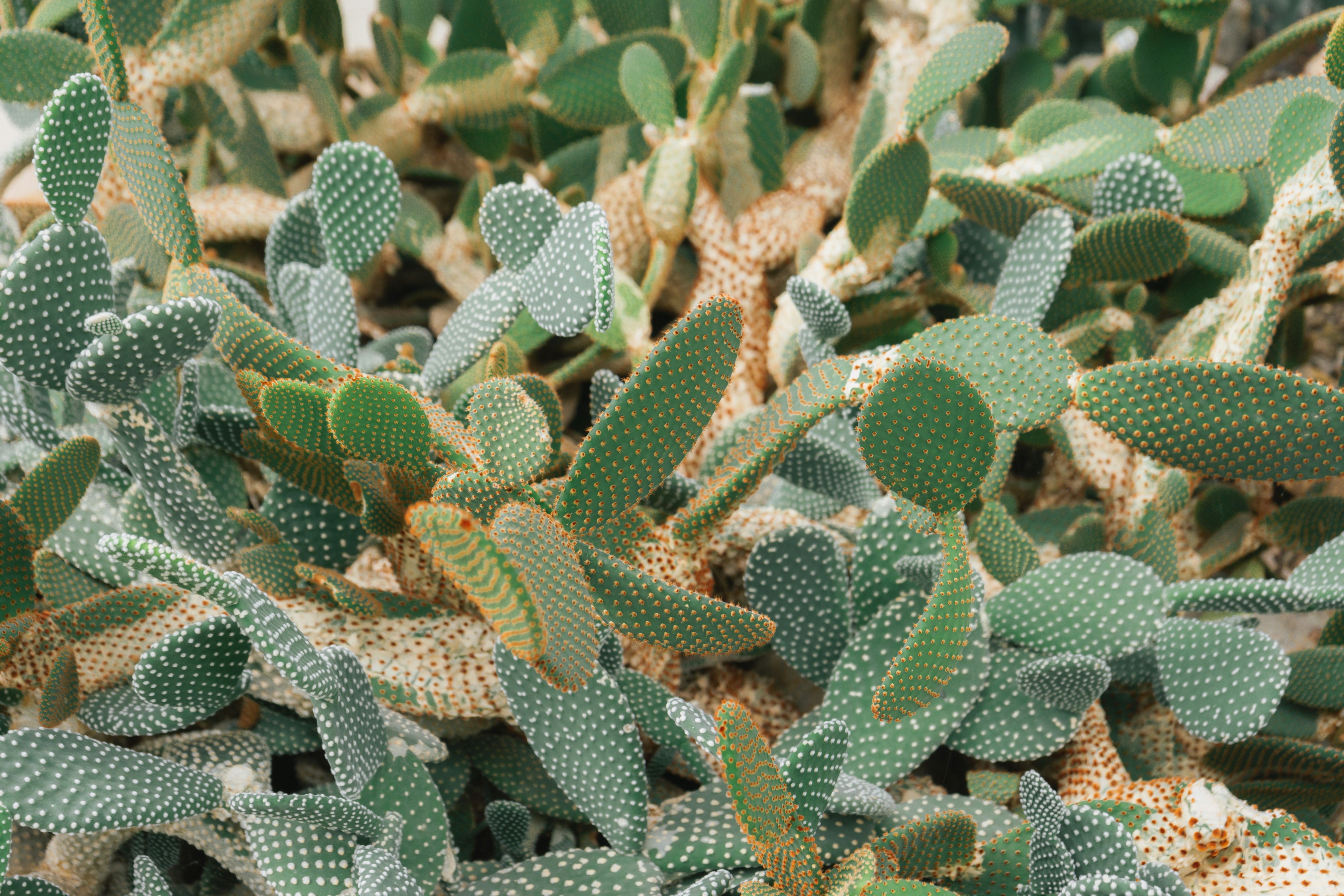 Photo by mariasolponce