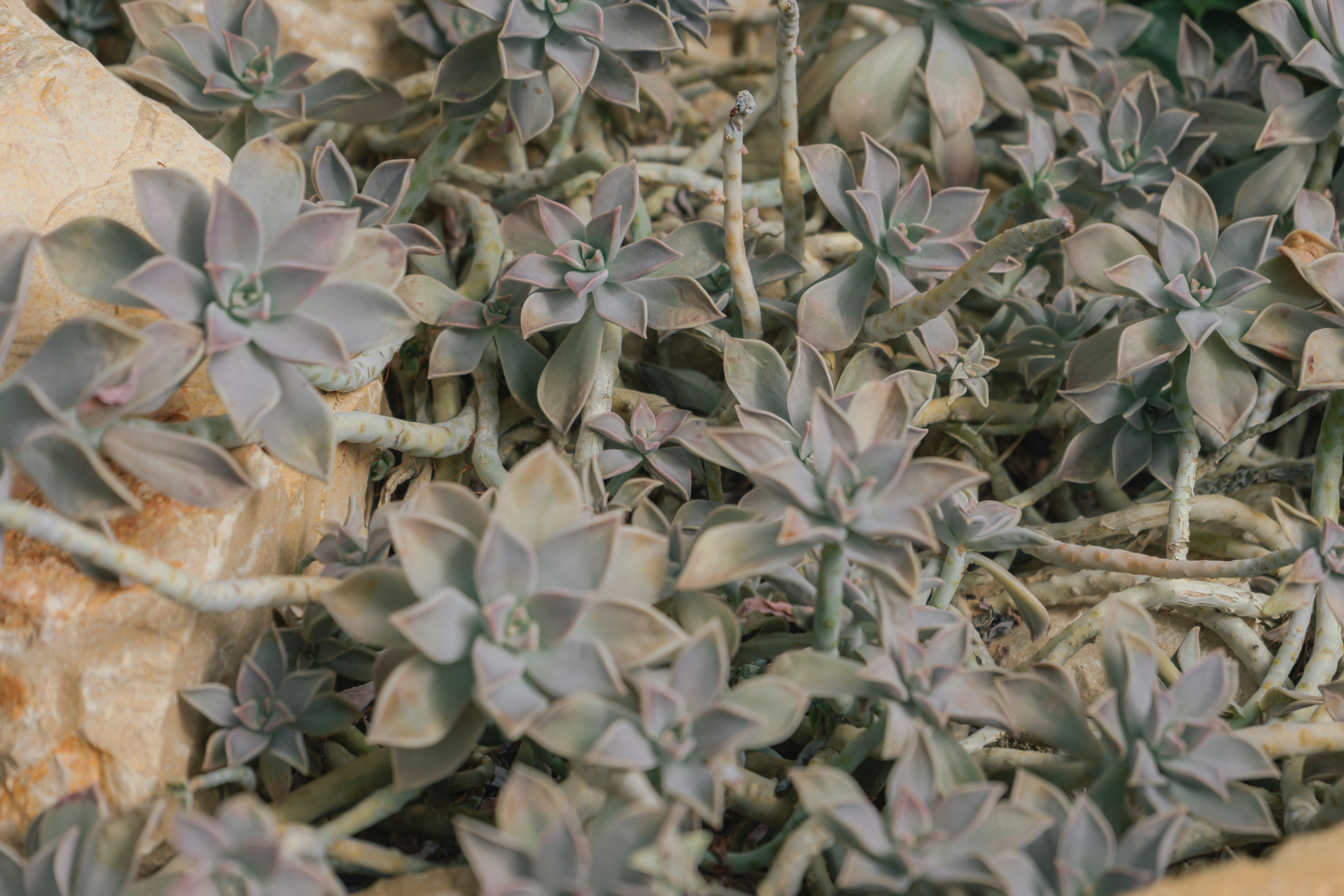 Photo by mariasolponce