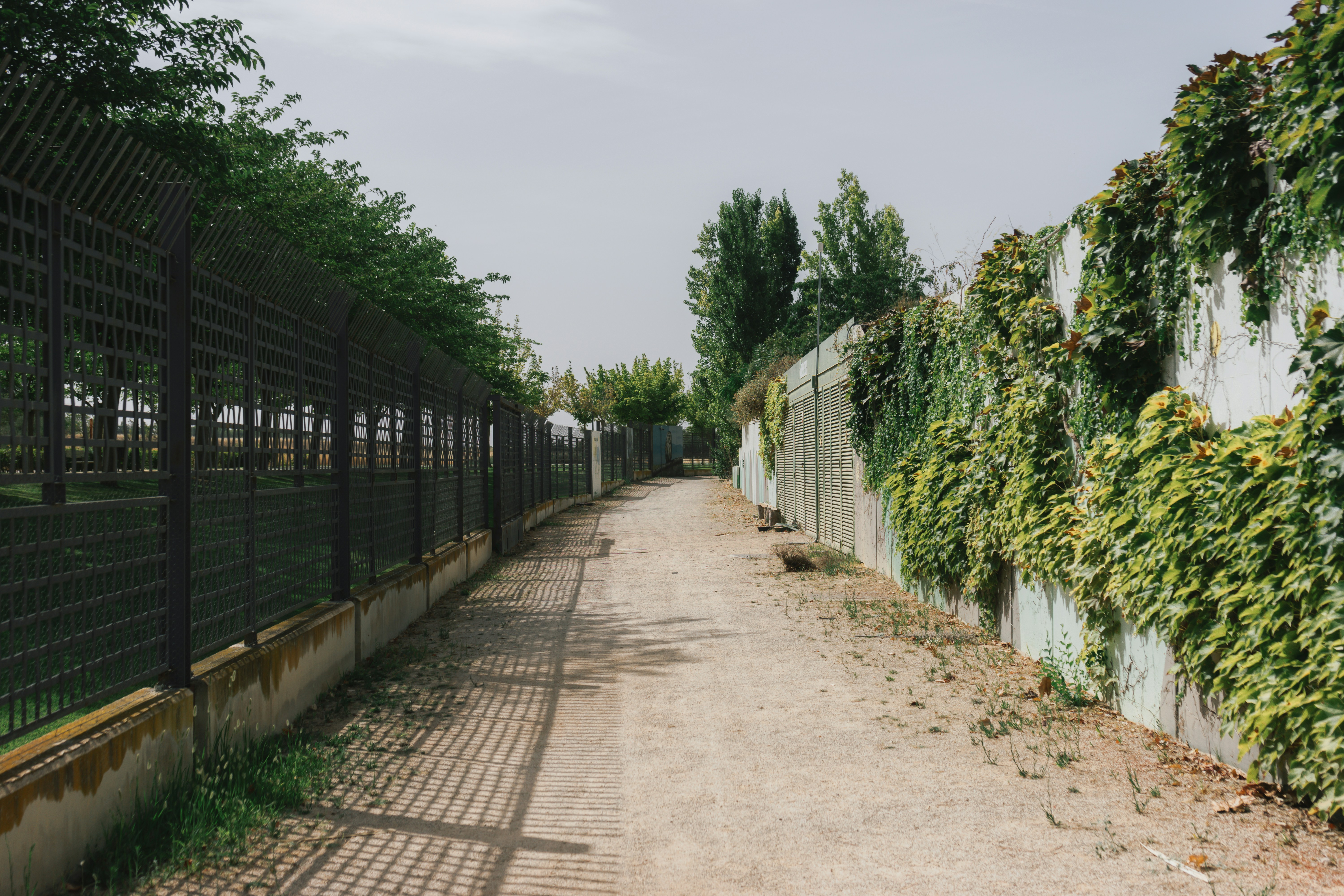 Photo by mariasolponce