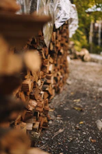 A yard after seasonal cleanup with piles of leaves and branches neatly gathered