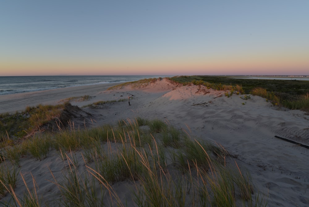 a sandy beach with grass and sand dunes