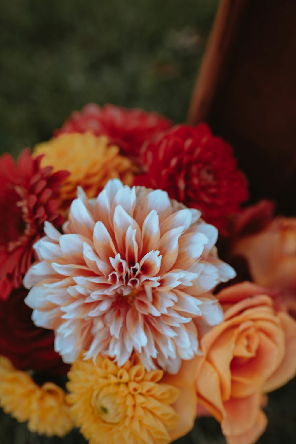 a close up of a bouquet of flowers