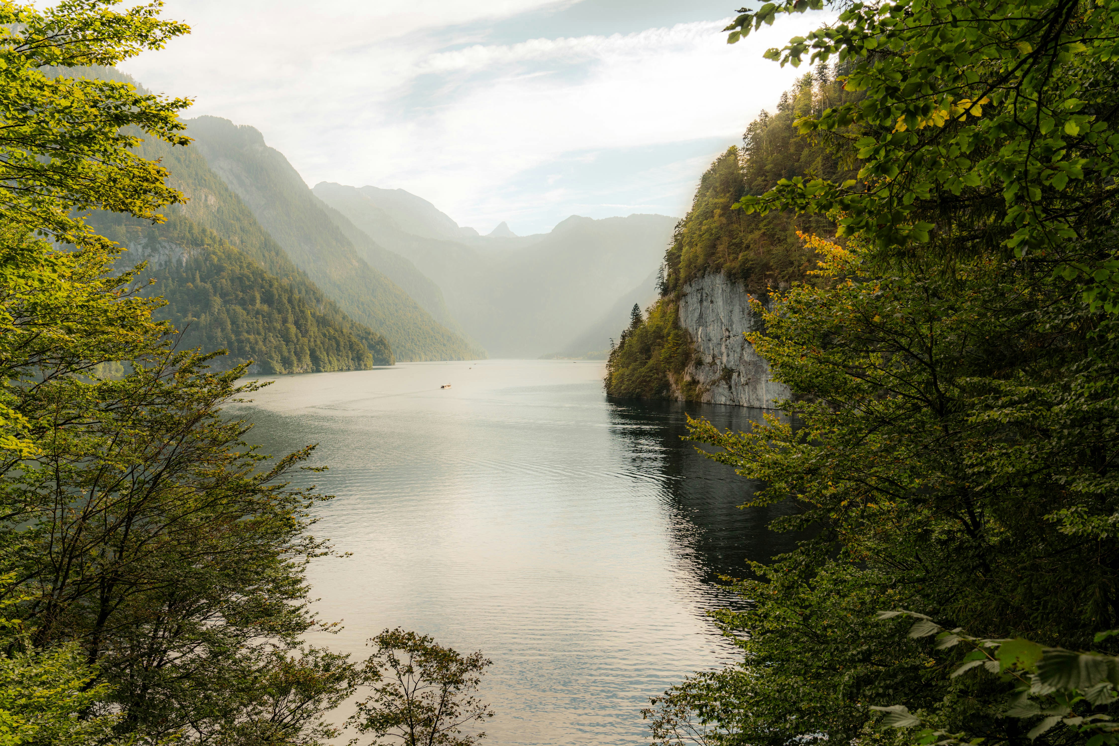 Photo by mikhail_mamaev