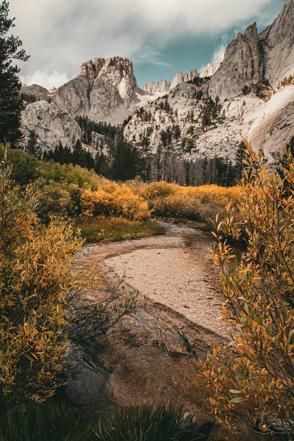 a small stream running through a forest with mountains in the background