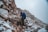 A hiker wearing durable outdoor clothing on a scenic mountain trail.