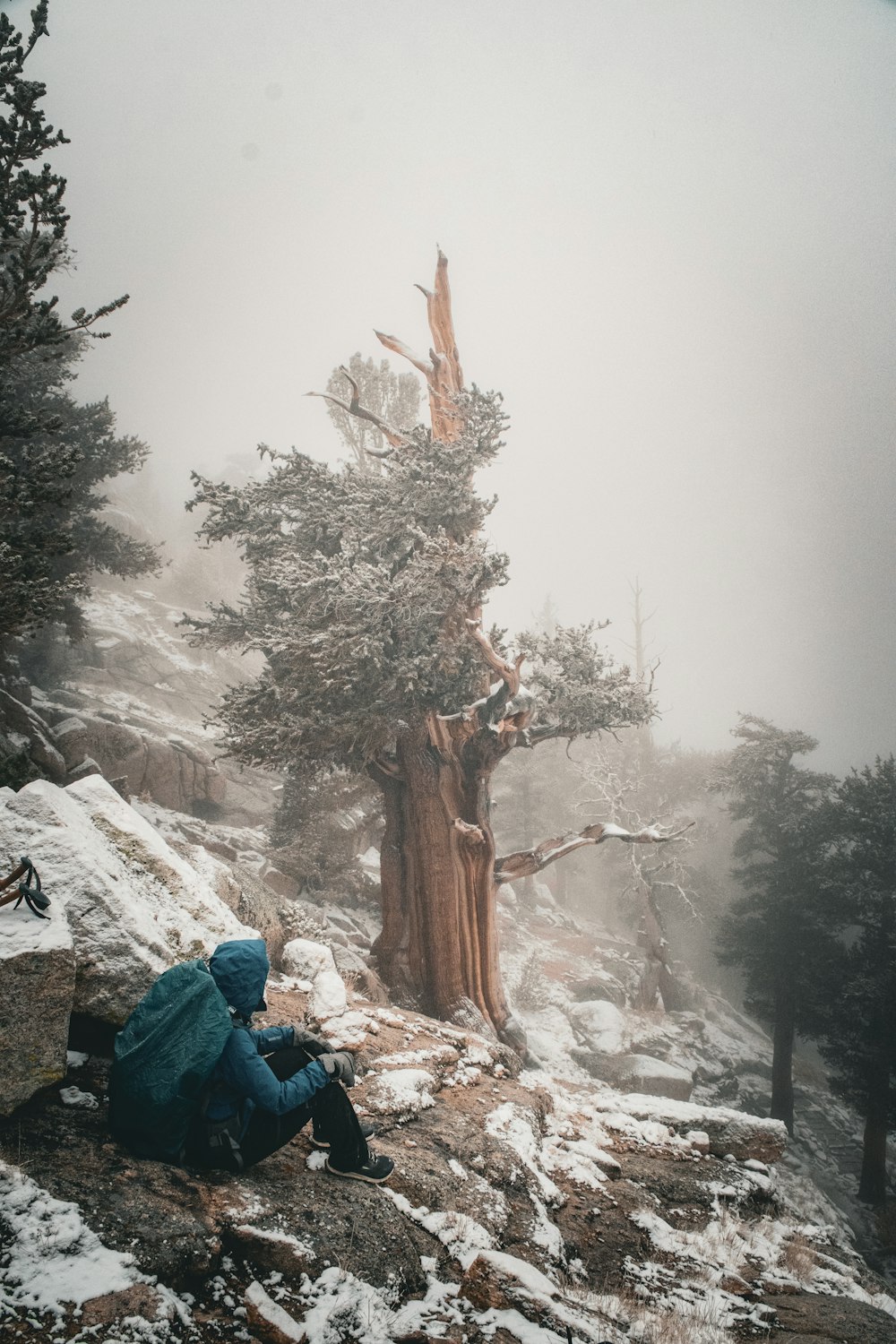 a person sitting on top of a snow covered mountain