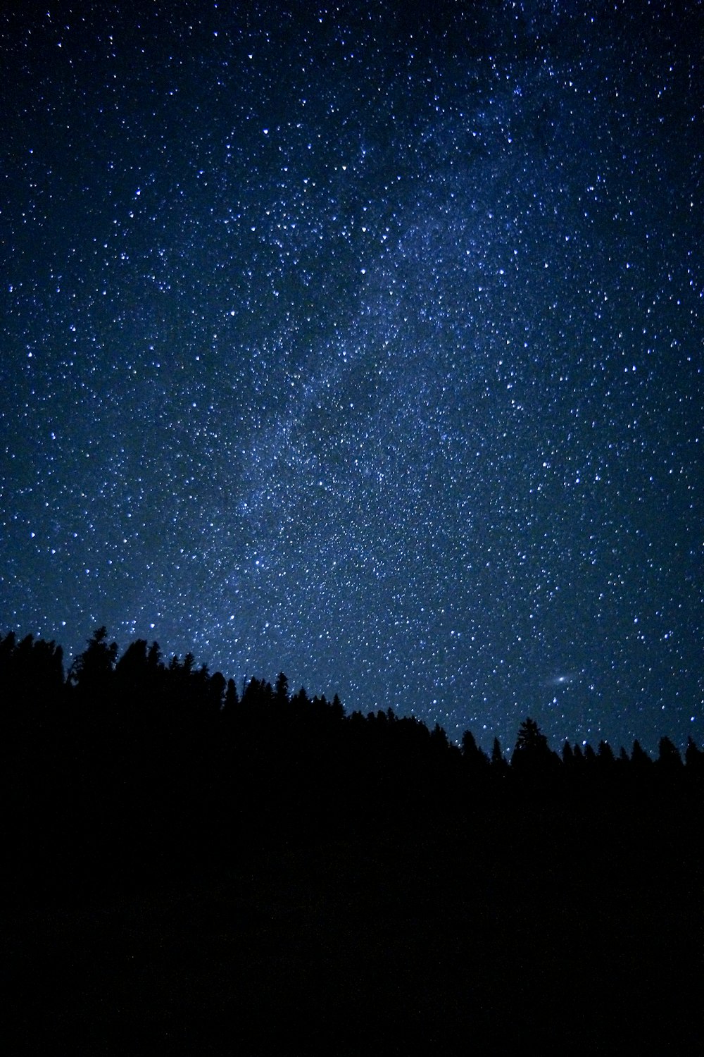 the night sky with stars and trees in the foreground