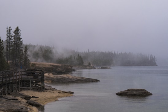 A serene view of a misty forest meeting the rugged coastline of Prince of Wales Island at dawn.
