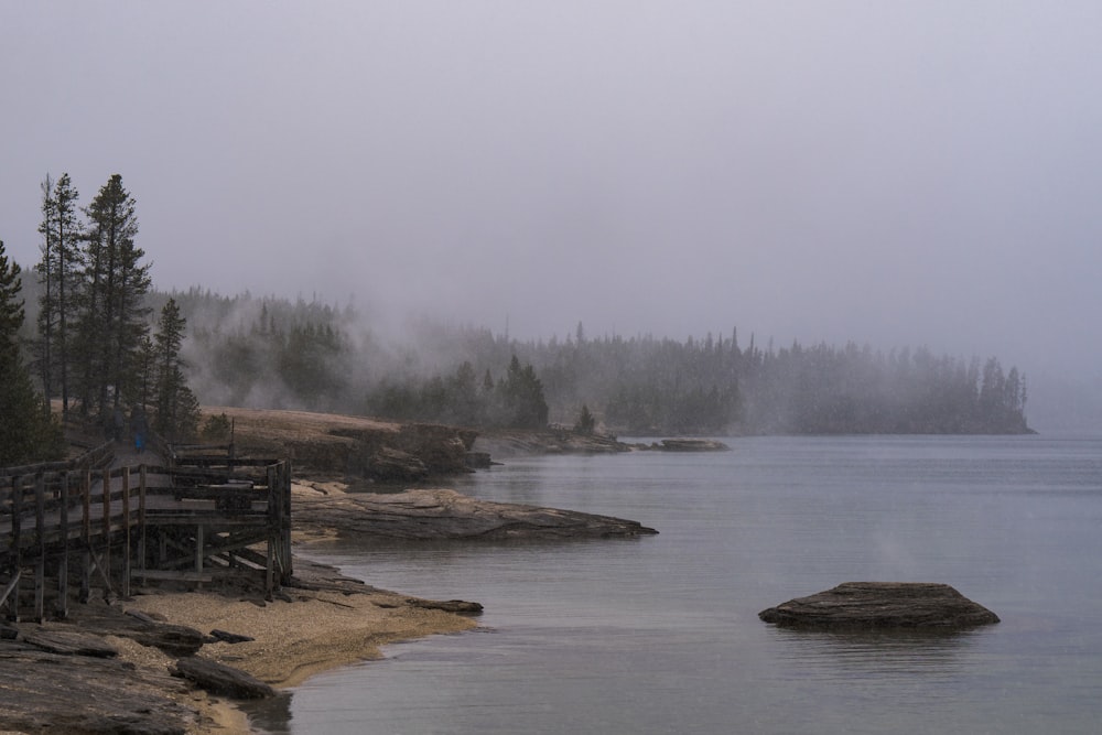 a body of water surrounded by trees on a foggy day