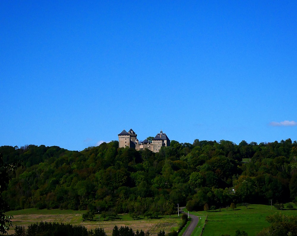 a castle on top of a hill surrounded by trees