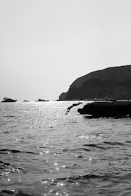 a black and white photo of a bird flying over the water