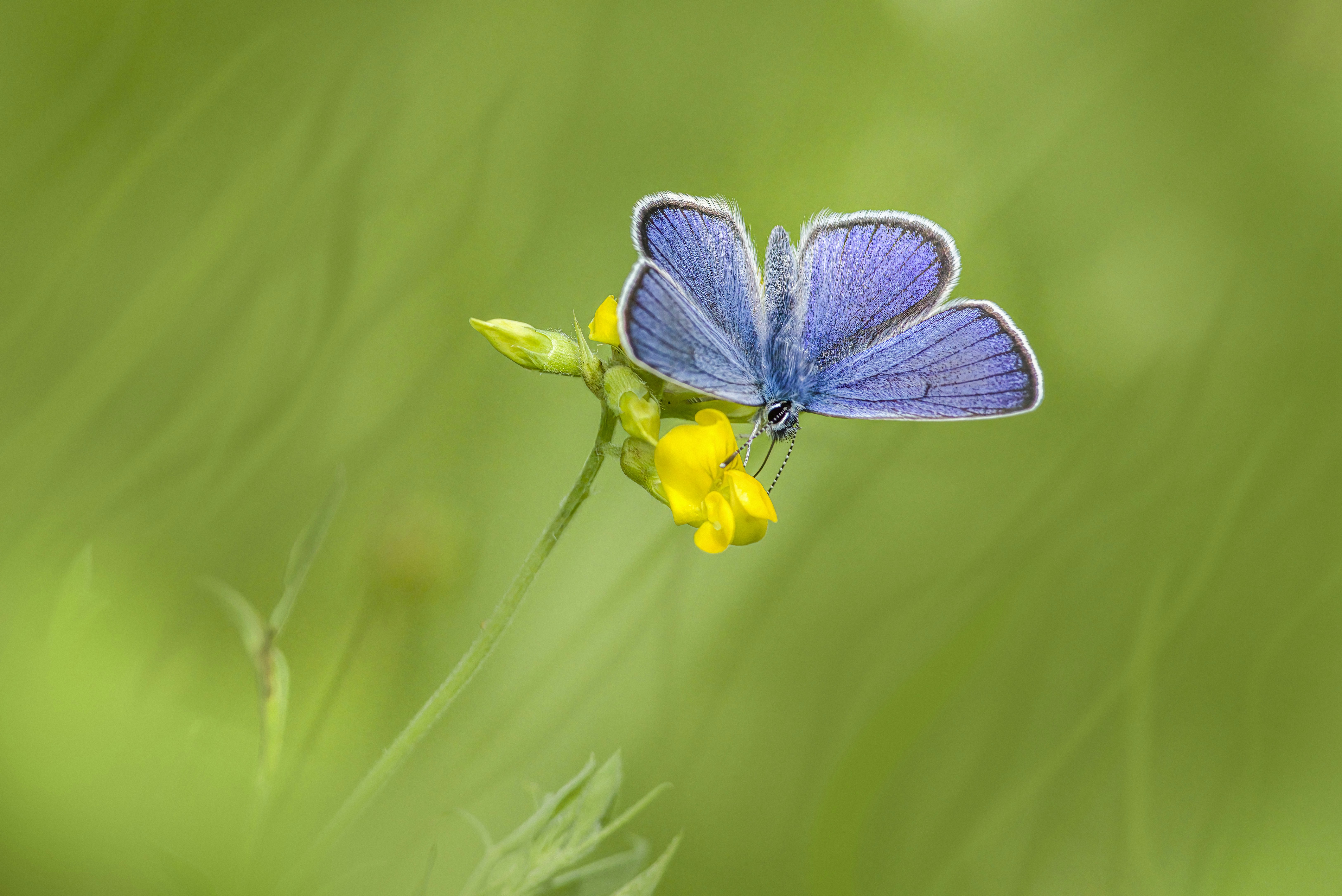 Photo by erik_karits