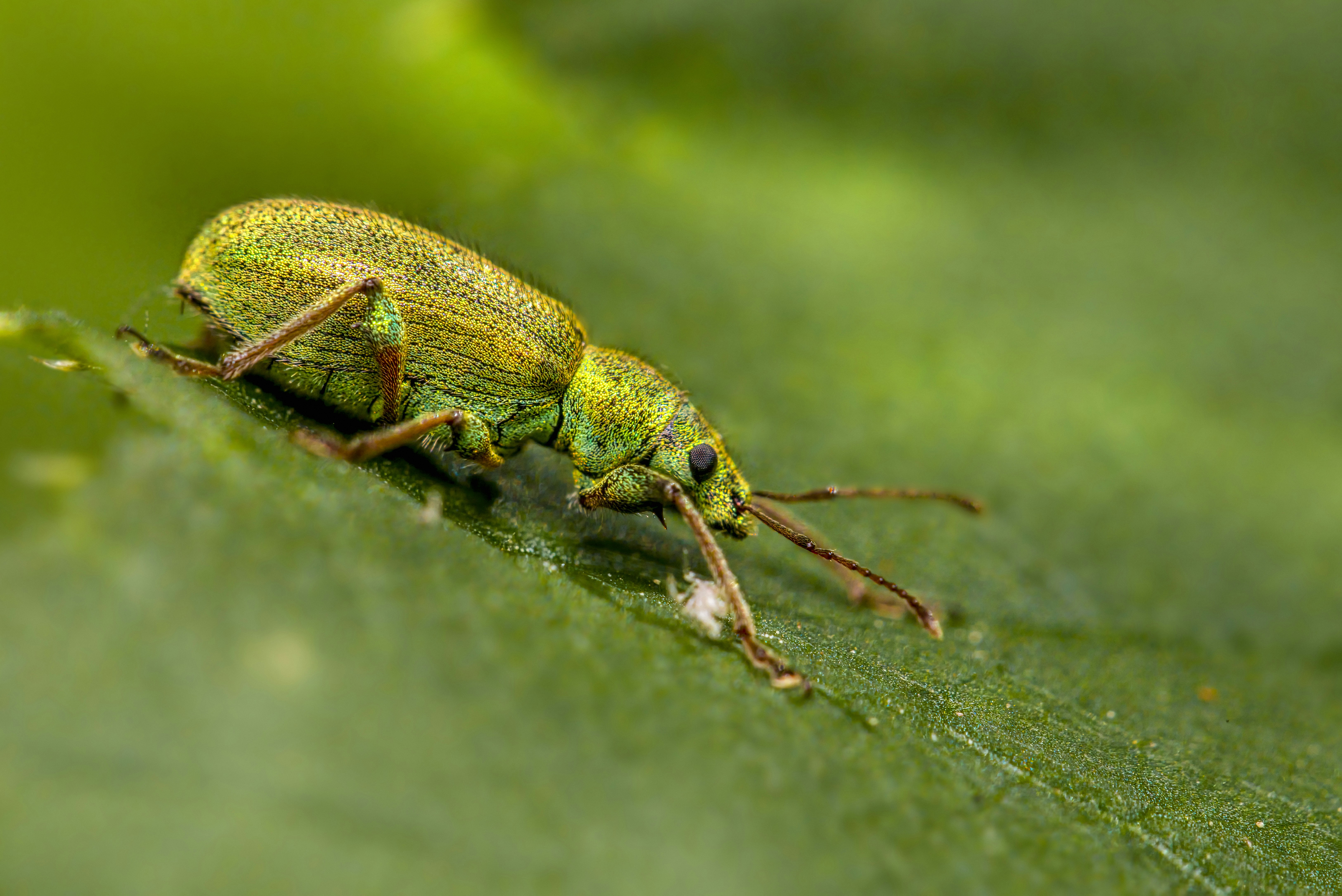 Photo by erik_karits