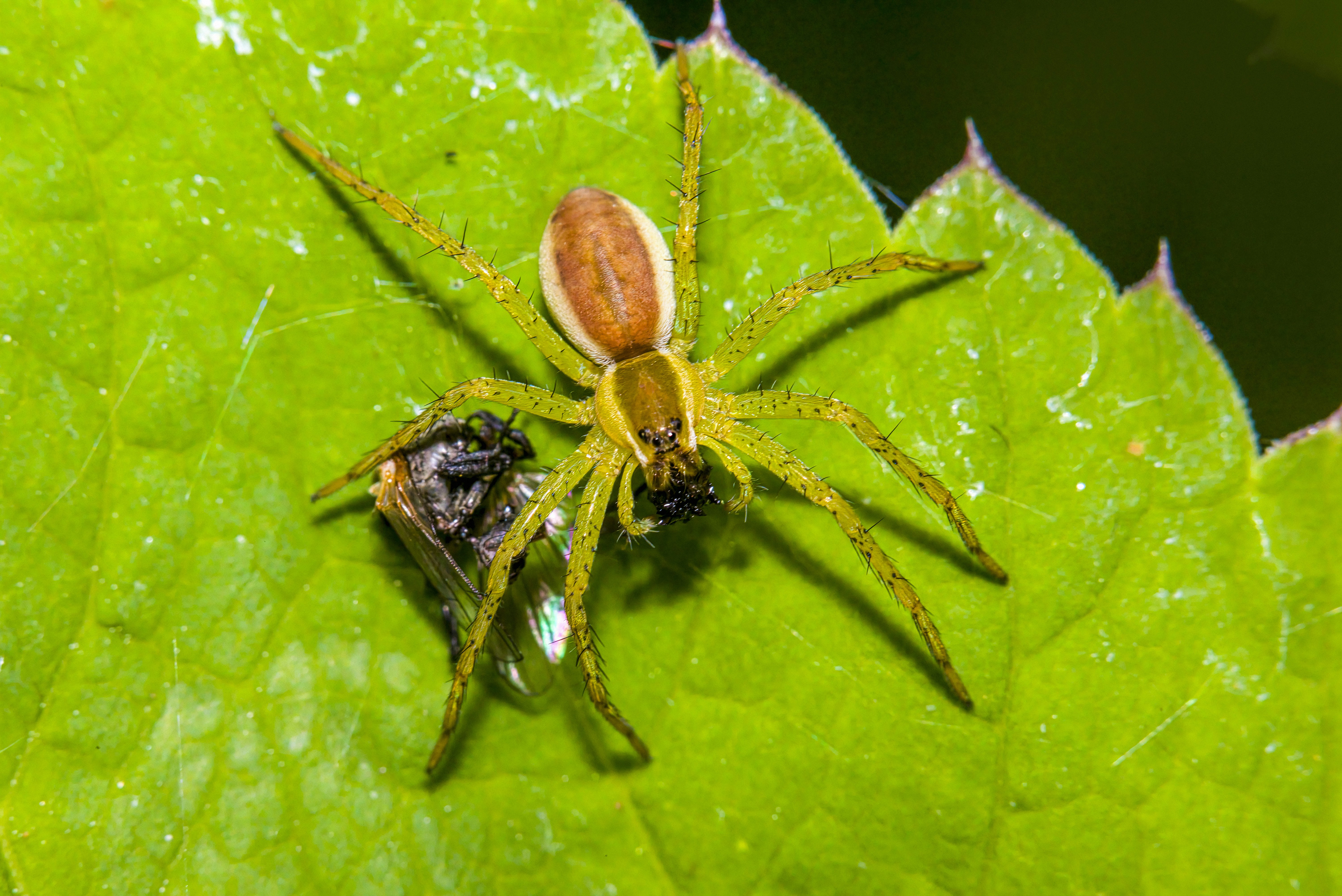 Photo by erik_karits