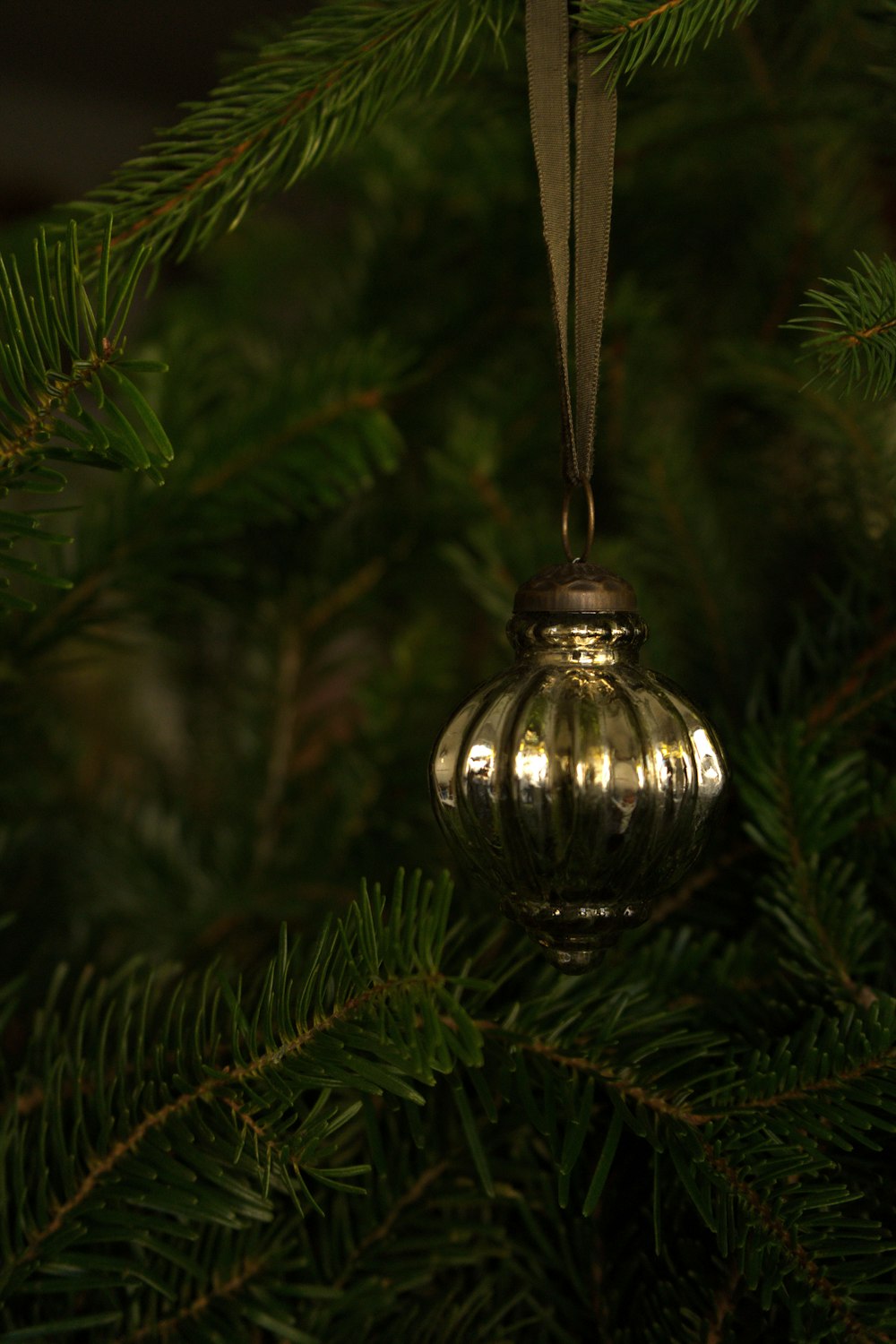a silver ornament hanging from a christmas tree