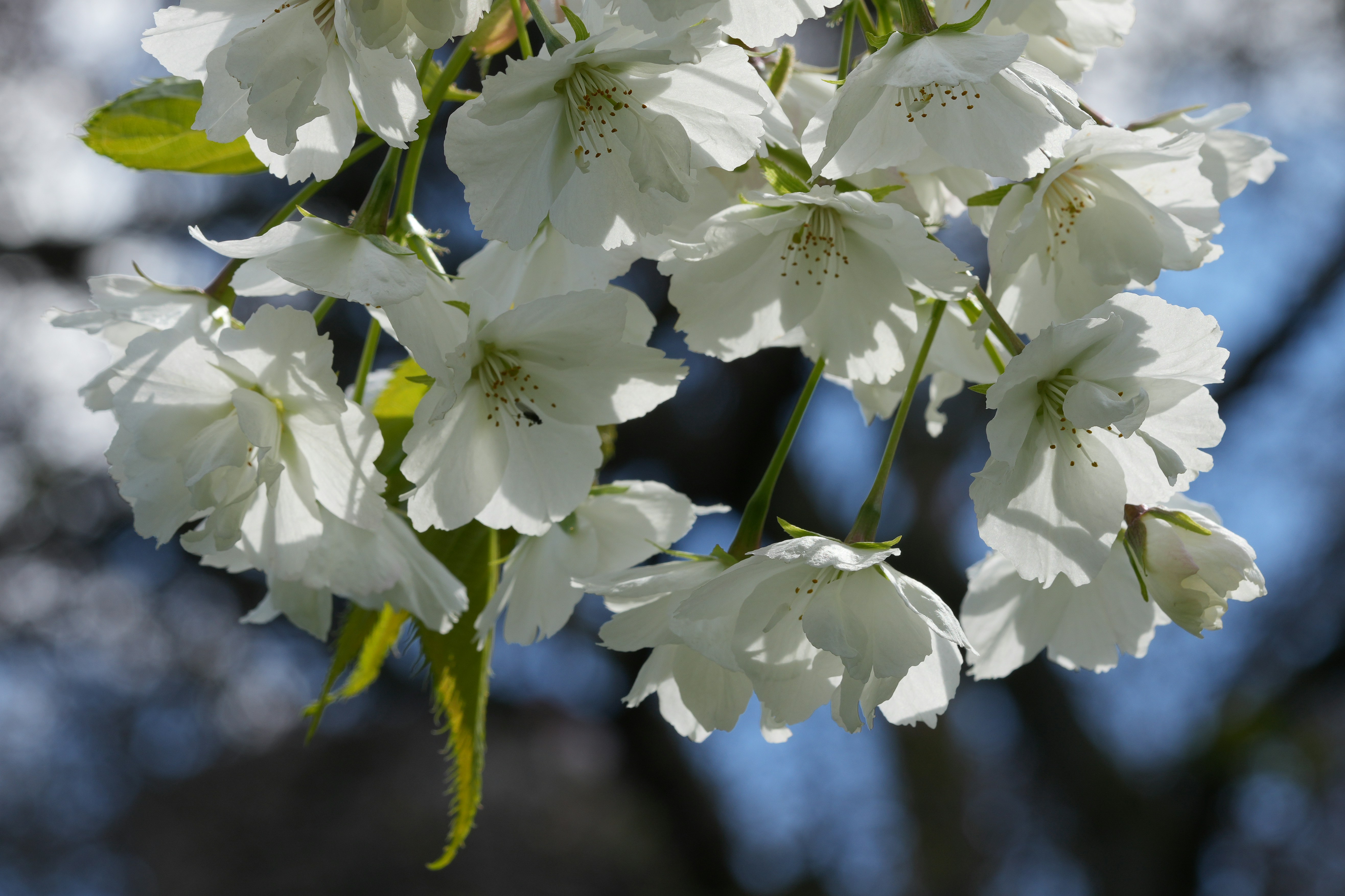 Photo by anyachernykh