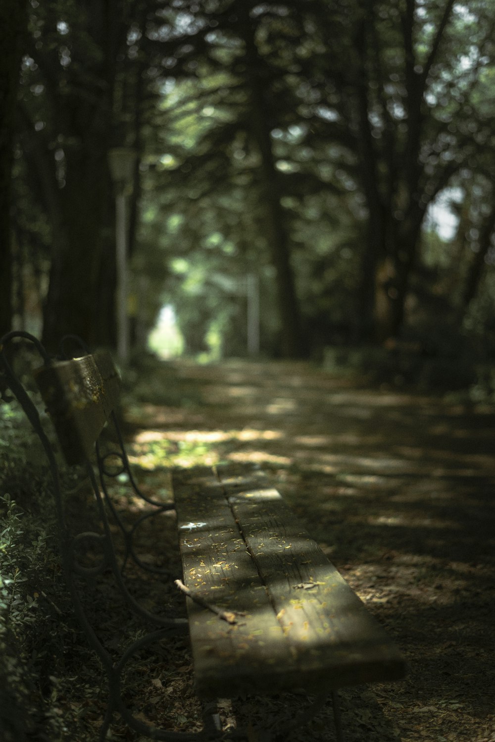 a wooden bench sitting in the middle of a forest