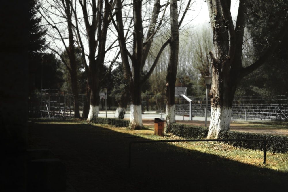 a fenced in area with trees and a fire hydrant