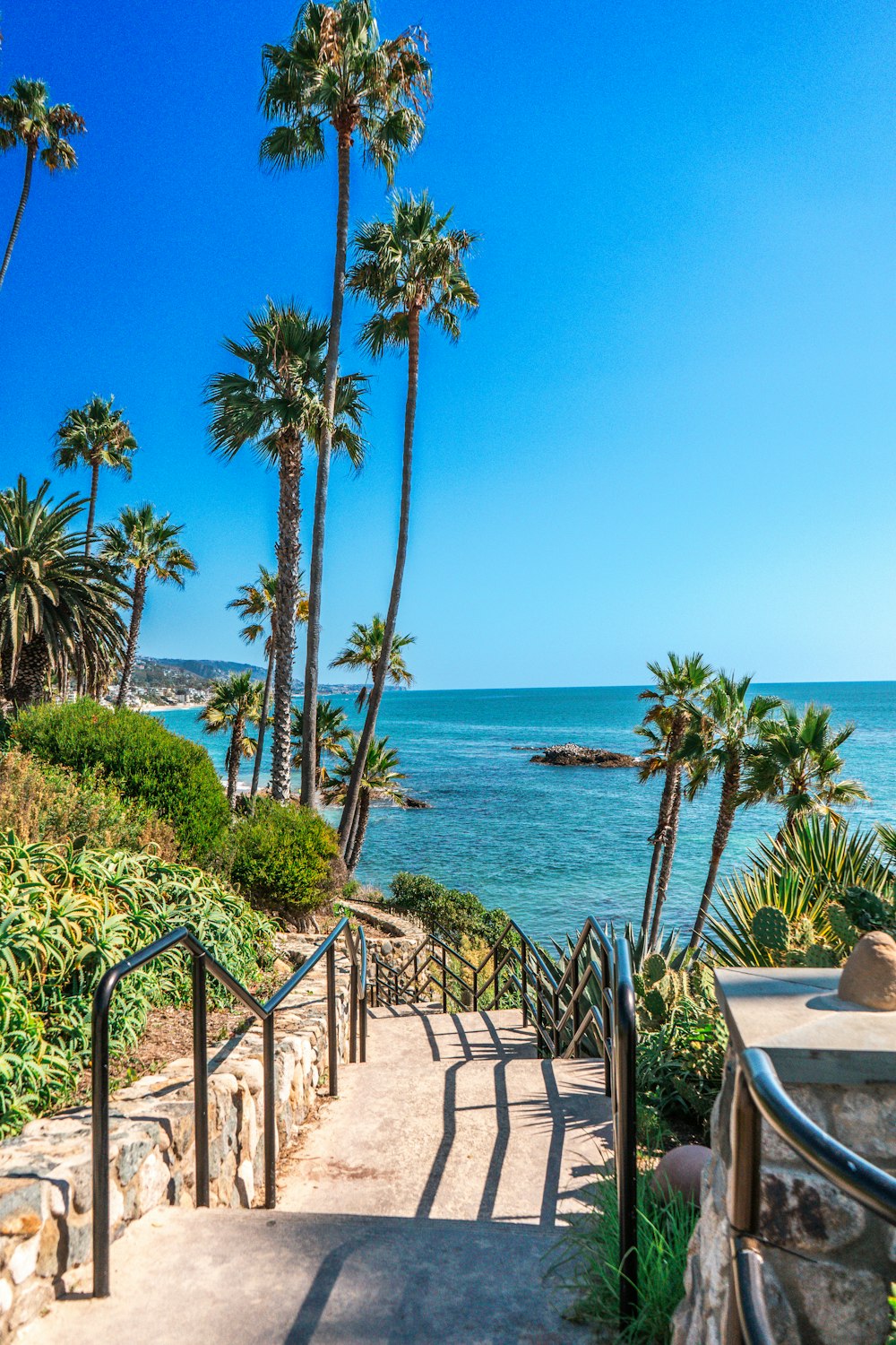 a staircase leading to the beach with palm trees