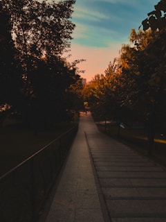 A serene pathway lined with trees on both sides, leading towards a distant horizon under a sky transitioning from warm orange to blue. The lighting suggests a sunset or sunrise, casting a gentle glow over the scene.