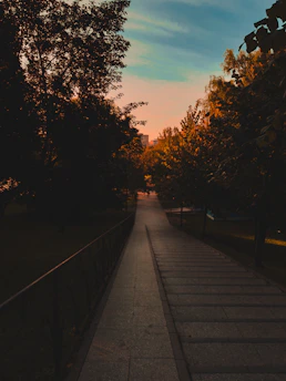 A serene path illuminated by soft morning light, symbolizing hope and guidance.