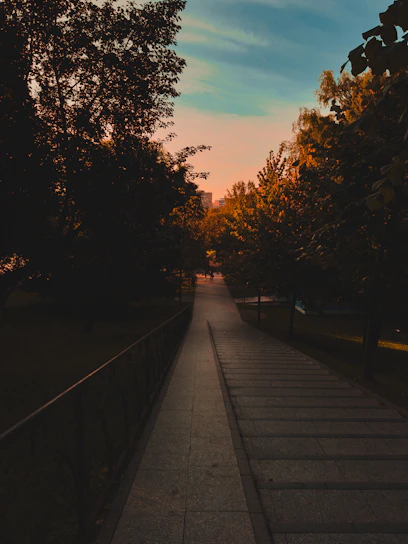 A serene sunrise over a peaceful path symbolizing a journey toward wellbeing.