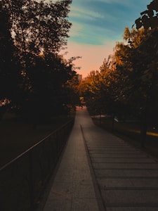 A serene pathway lined with trees on both sides, leading towards a distant horizon under a sky transitioning from warm orange to blue. The lighting suggests a sunset or sunrise, casting a gentle glow over the scene.