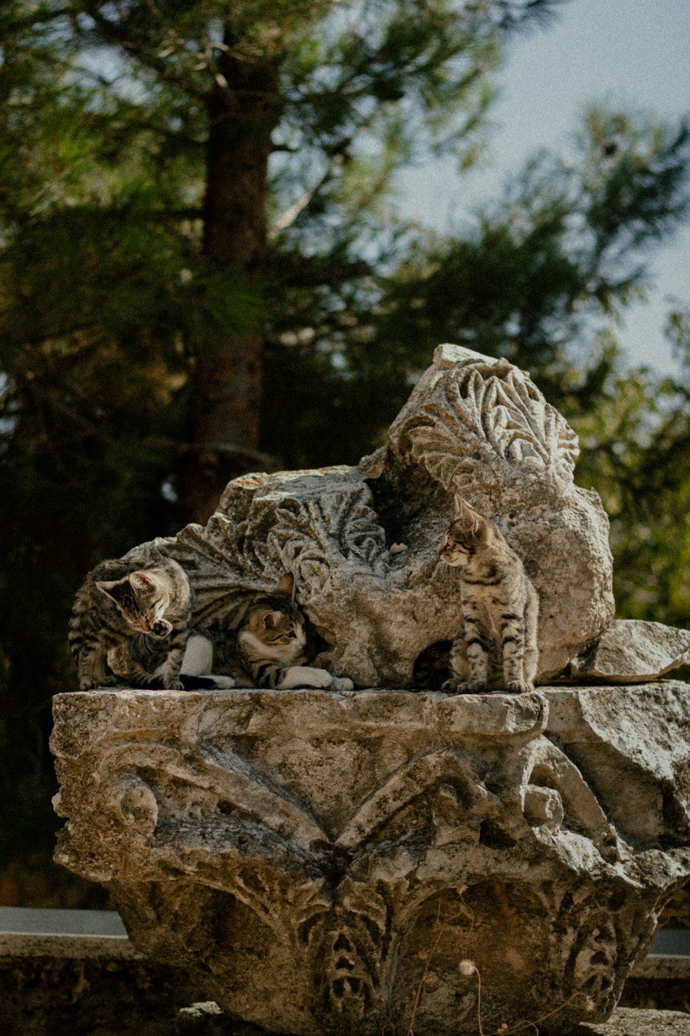 uma estátua de um leão deitado em cima de uma rocha