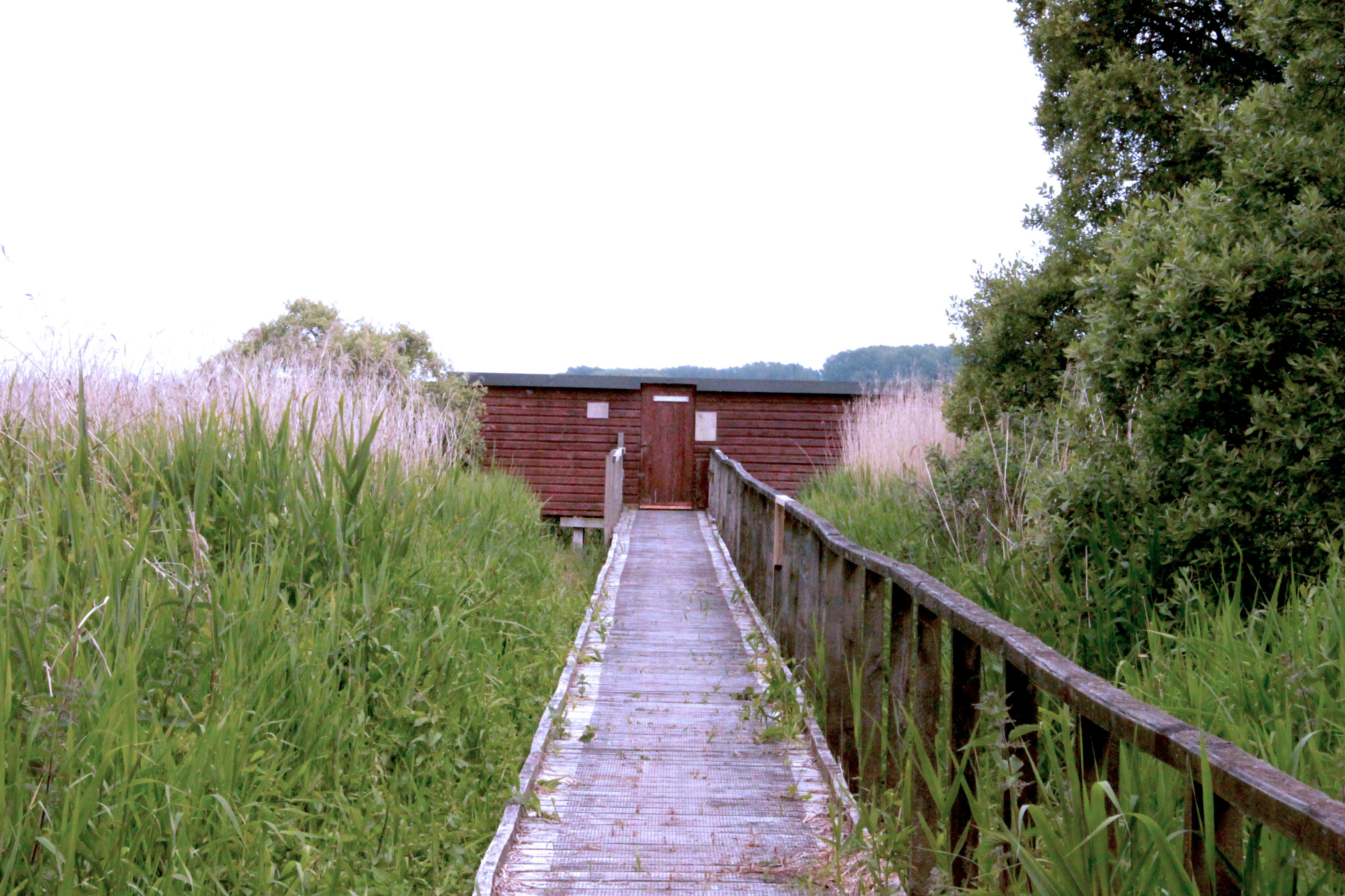 Photo by lucyoryetso