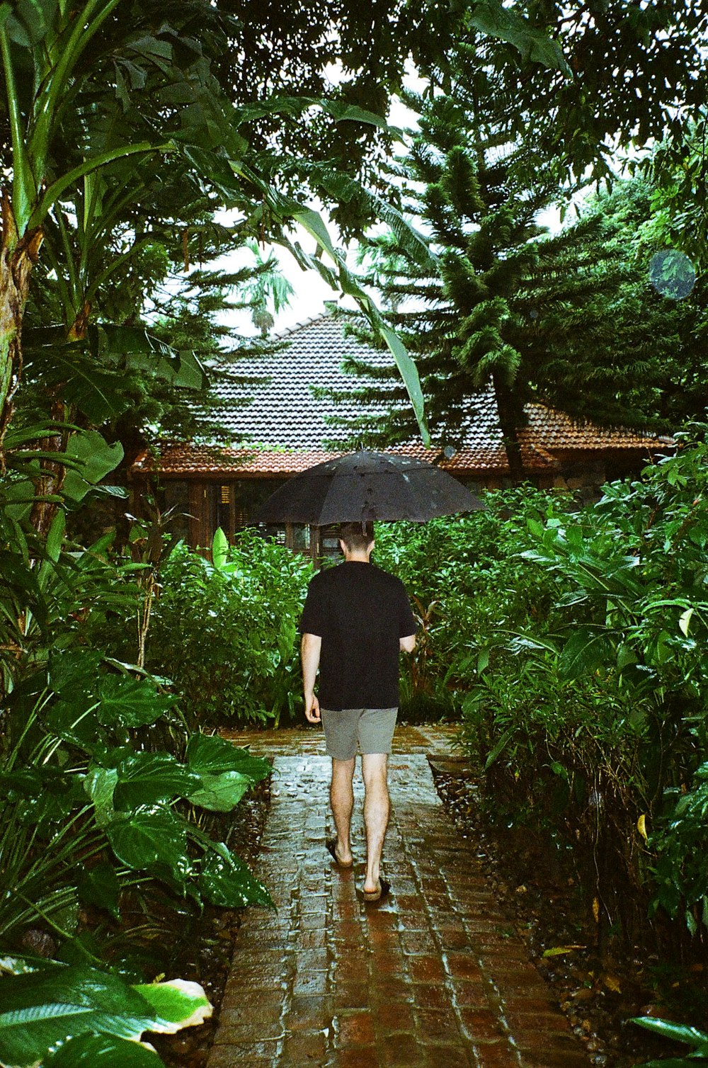 a man walking down a path holding an umbrella