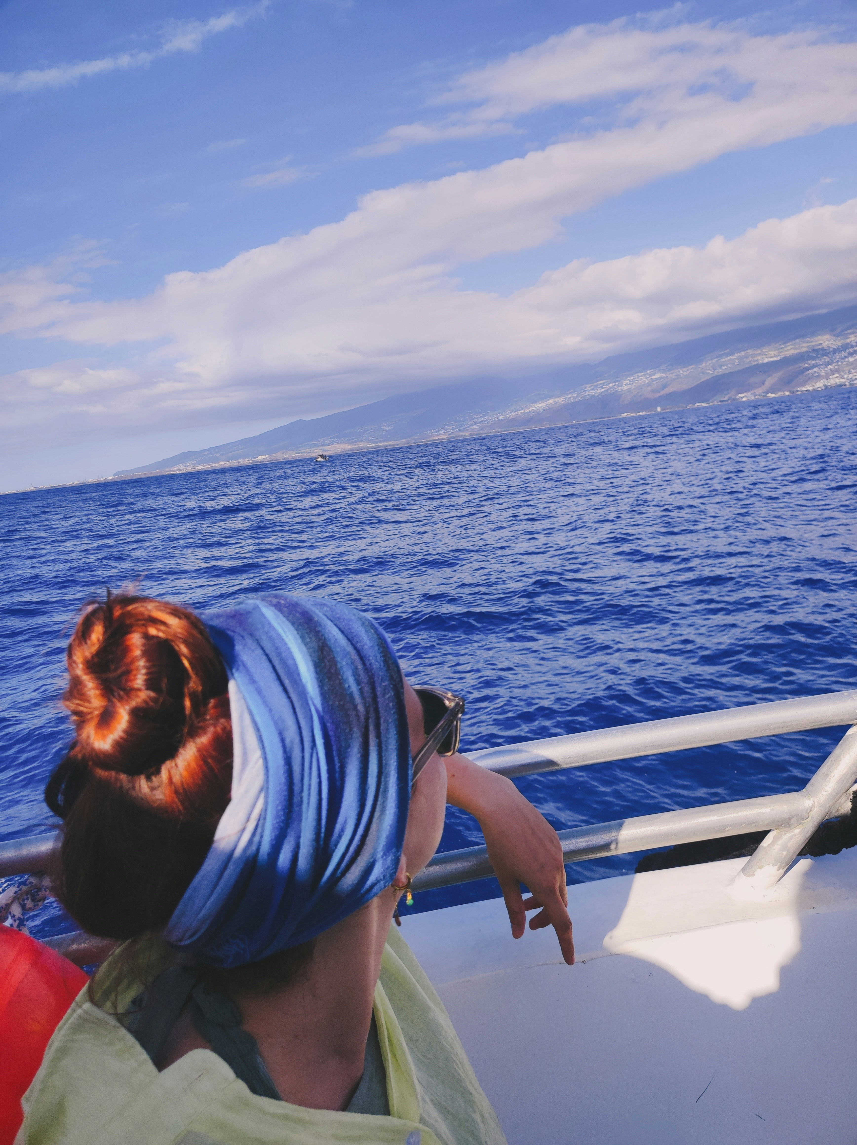 A family enjoying an eco-friendly whale watching tour in Maui