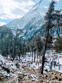 A snowy mountainous landscape with tall trees scattered throughout. A large group of people can be seen engaging in recreational activities on the snow-covered ground, with some areas of rocky terrain visible.
