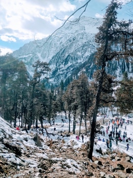 A snowy mountainous landscape with tall trees scattered throughout. A large group of people can be seen engaging in recreational activities on the snow-covered ground, with some areas of rocky terrain visible.