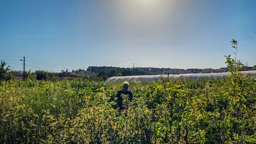 A sturdy greenhouse standing tall amid a rocky desert landscape under a bright blue sky.