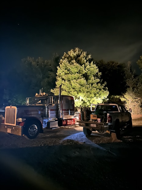 A nighttime scene featuring a large semi-truck parked near a pickup truck. The vehicles are illuminated by a bright light, highlighting a tree in the background with lush foliage. The atmosphere is dimly lit, with shadows cast on the ground.