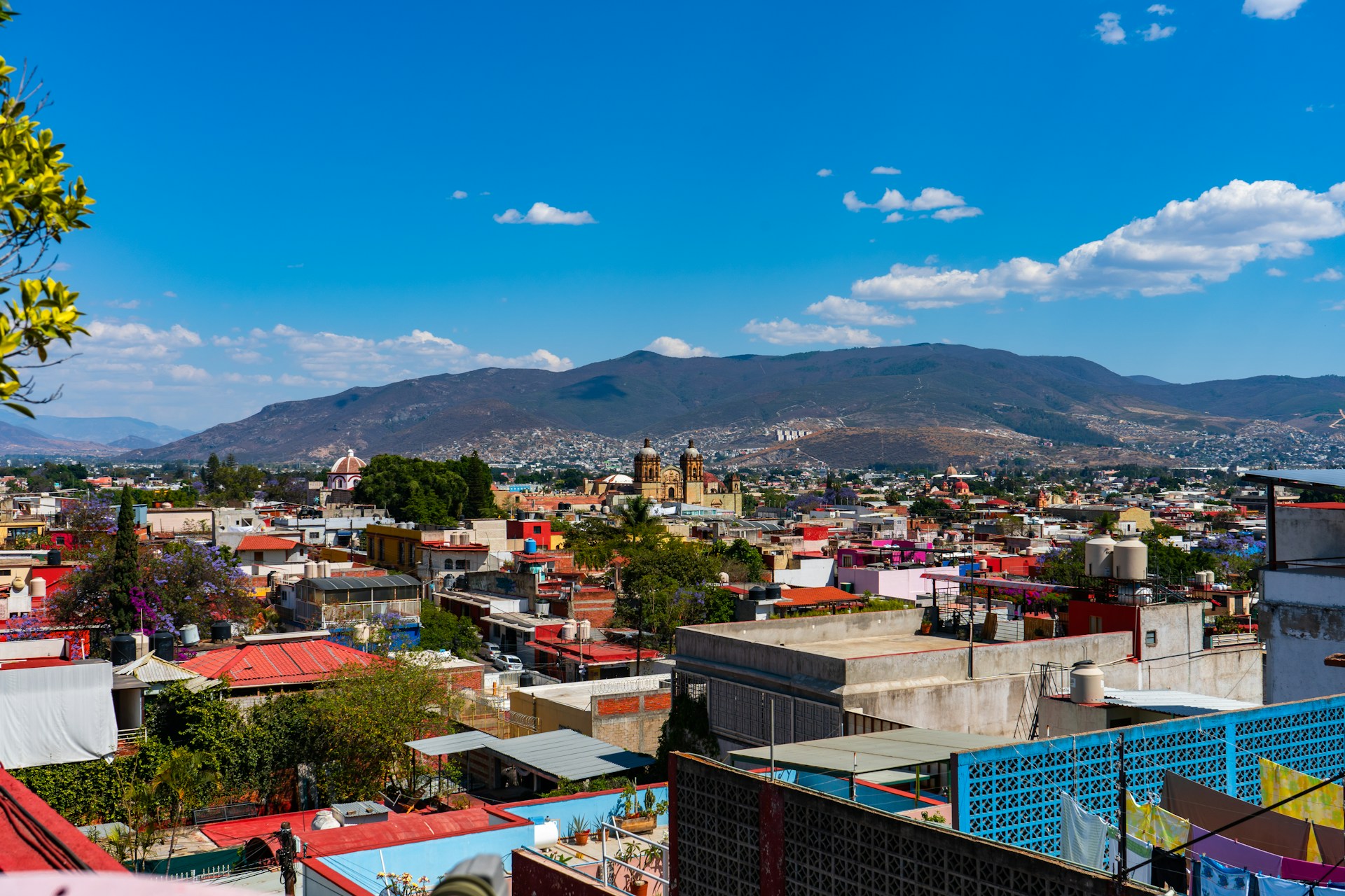 black and brown leather padded tub sofa