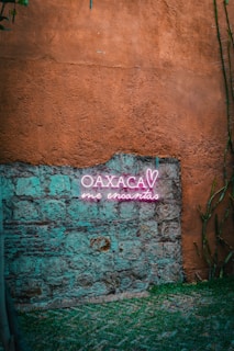 A rustic stone wall features a vibrant neon sign that reads 'Oaxaca me encantas' in bright pink and white colors. The wall, composed of earthy brown and teal stones, creates a contrast with the illuminated text. Surrounding the wall is sparse greenery, adding a natural element to the image.