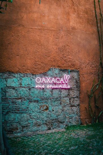 A rustic stone wall features a vibrant neon sign that reads 'Oaxaca me encantas' in bright pink and white colors. The wall, composed of earthy brown and teal stones, creates a contrast with the illuminated text. Surrounding the wall is sparse greenery, adding a natural element to the image.