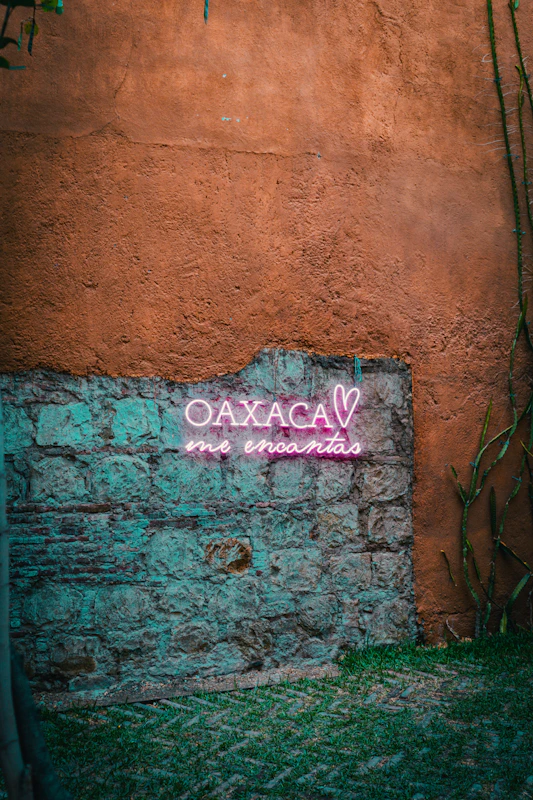 Oaxaca me encantas