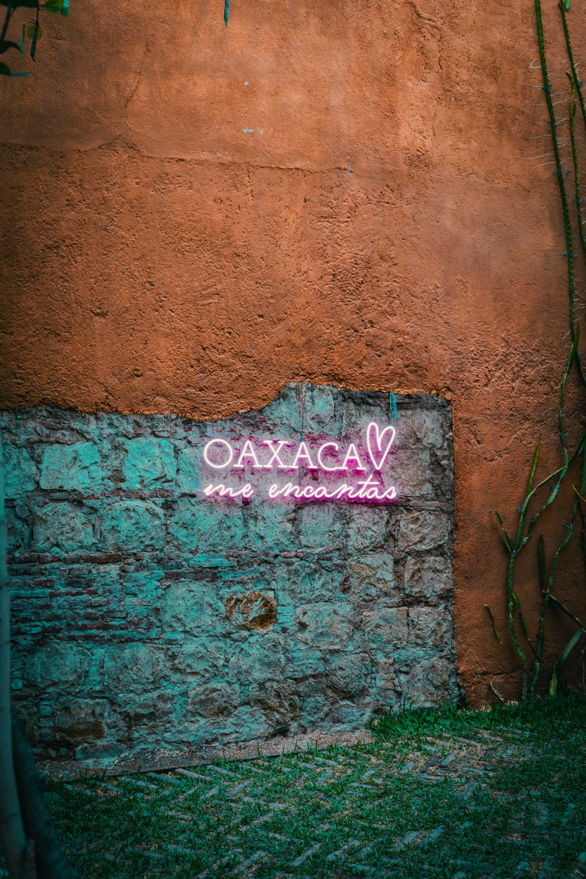 woman wearing yellow long-sleeved dress under white clouds and blue sky during daytime