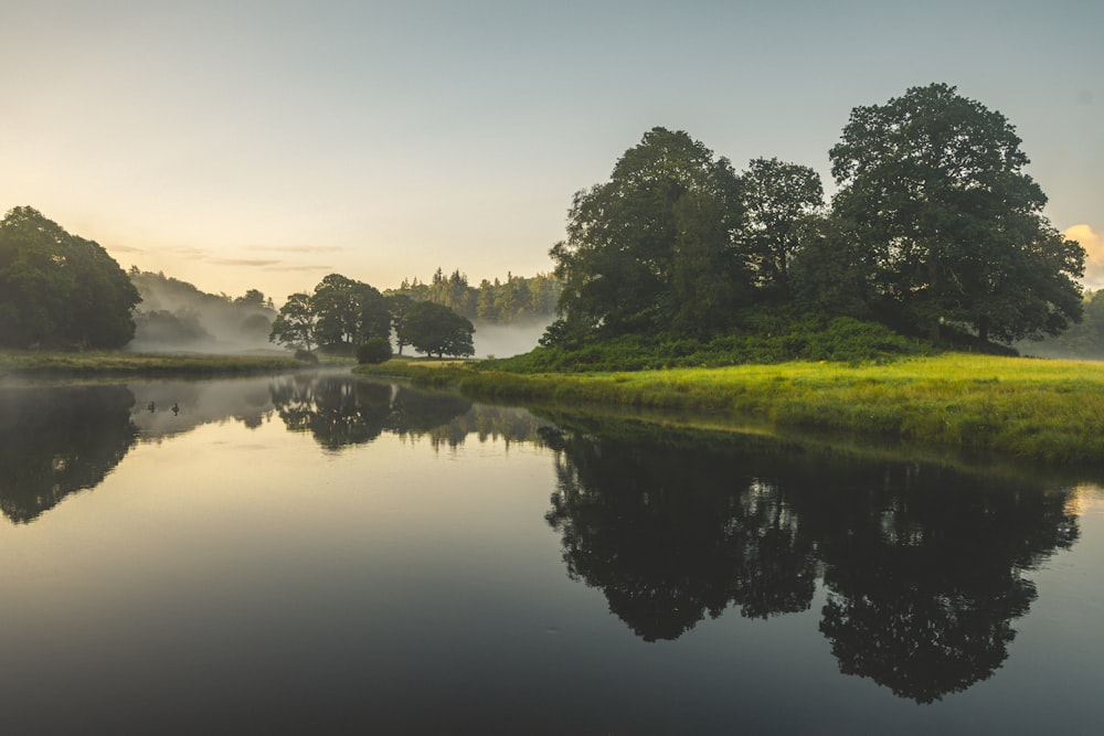 a body of water surrounded by trees and fog