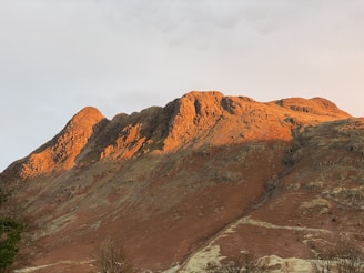 A sunlit mountain landscape with golden hues reflecting the warmth of the Rocky Mountain foothills.