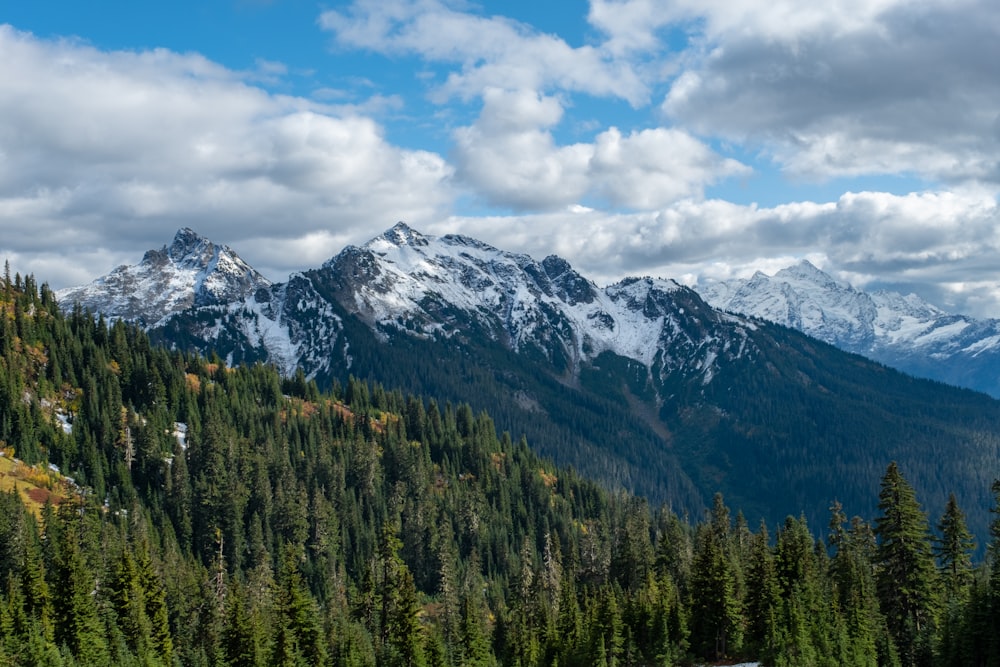 a scenic view of a mountain range with trees in the foreground