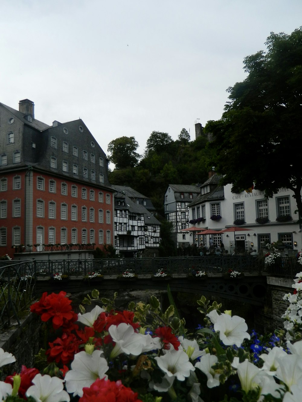 a bunch of flowers that are in front of a building