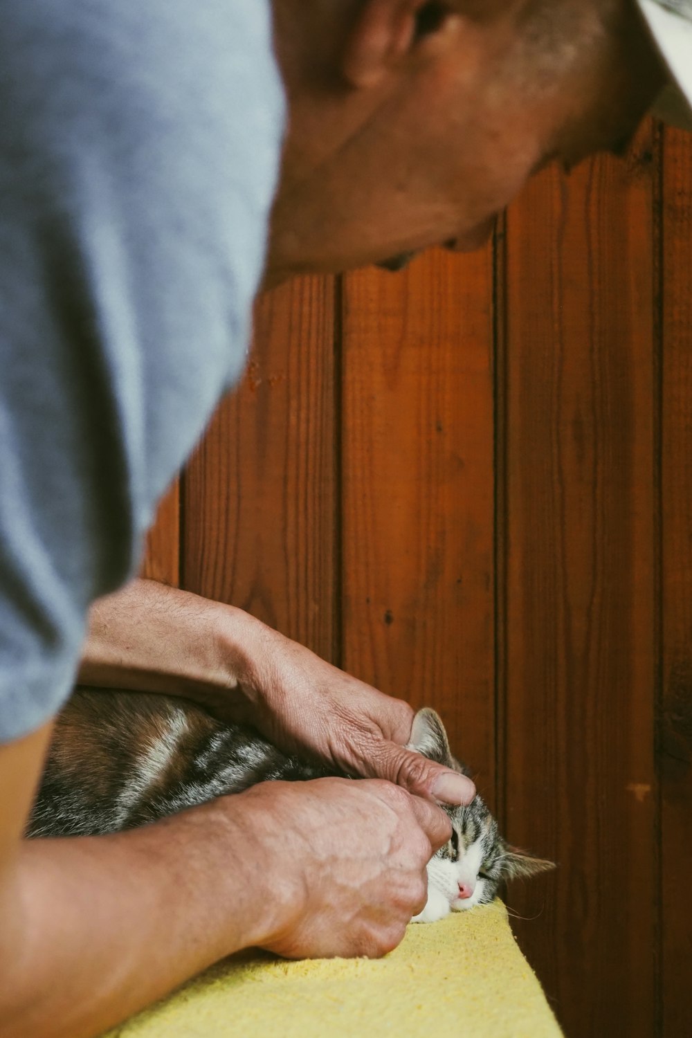 a man is petting a cat on the head