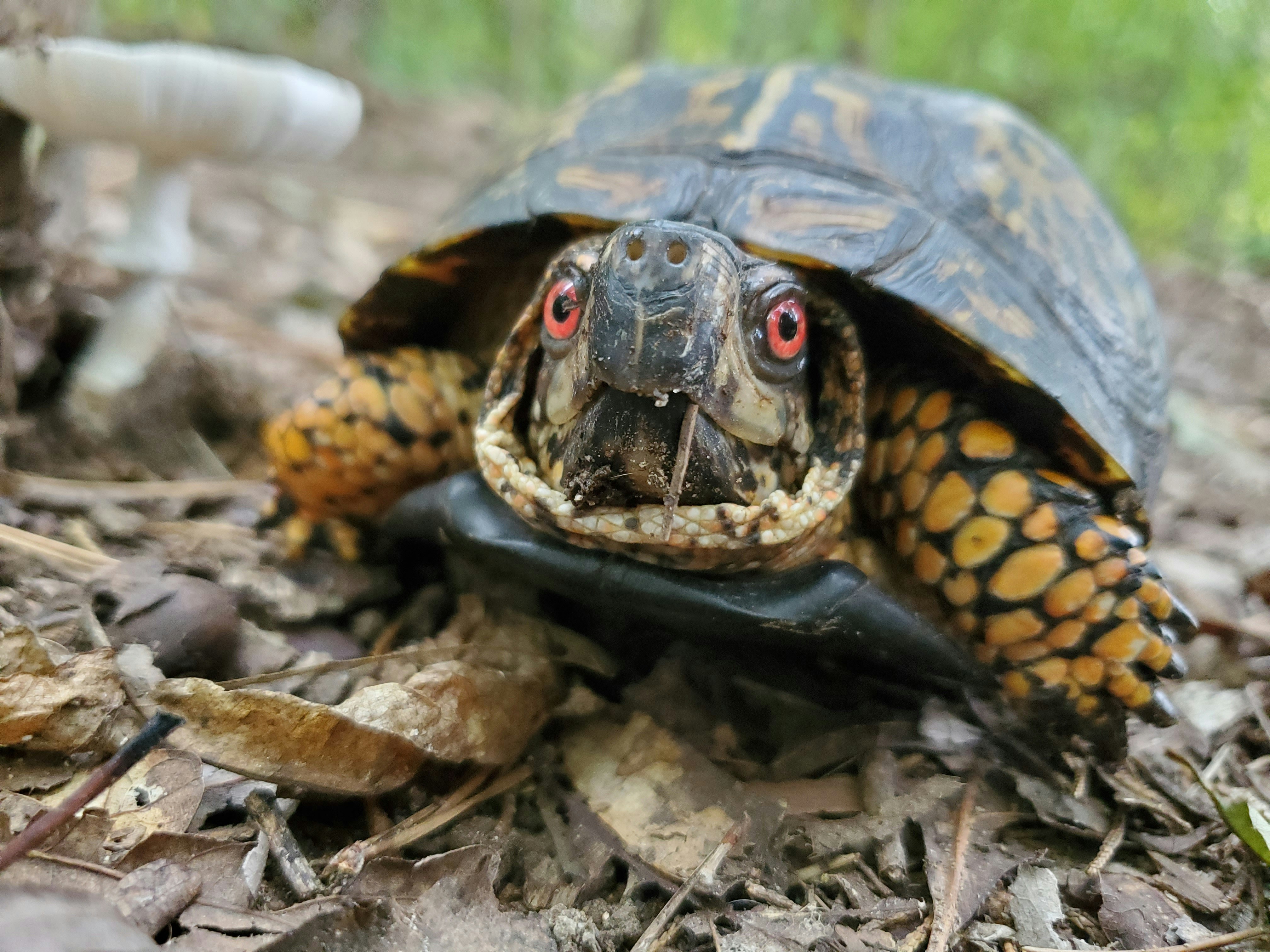 Photo by karolinabobek